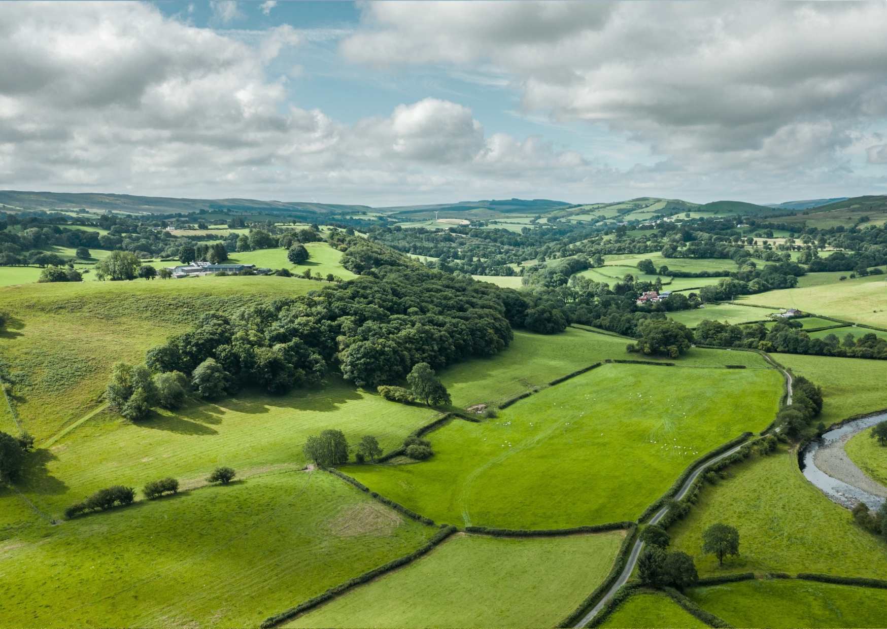 Image of staff member Tom Wood